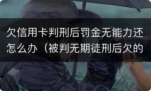 欠信用卡判刑后罚金无能力还怎么办（被判无期徒刑后欠的信用卡怎么办）
