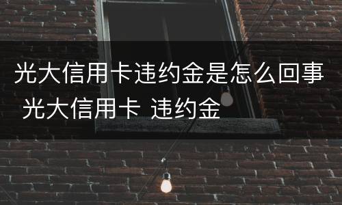 光大信用卡违约金是怎么回事 光大信用卡 违约金