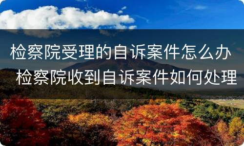 检察院受理的自诉案件怎么办 检察院收到自诉案件如何处理