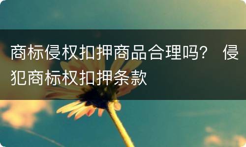 商标侵权扣押商品合理吗？ 侵犯商标权扣押条款