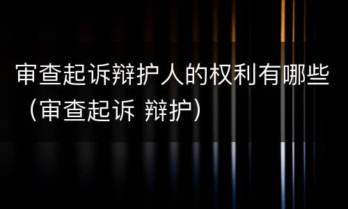 审查起诉辩护人的权利有哪些（审查起诉 辩护）