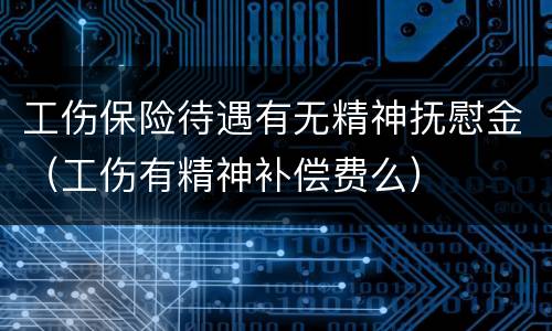 工伤保险待遇有无精神抚慰金（工伤有精神补偿费么）