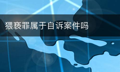 猥亵罪属于自诉案件吗