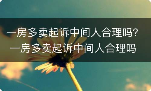 一房多卖起诉中间人合理吗？ 一房多卖起诉中间人合理吗