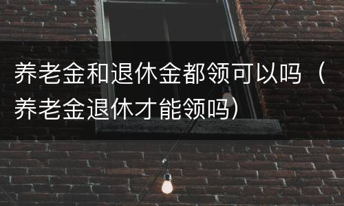 养老金和退休金都领可以吗（养老金退休才能领吗）