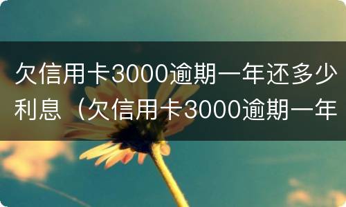 欠信用卡3000逾期一年还多少利息（欠信用卡3000逾期一年还多少利息呢）