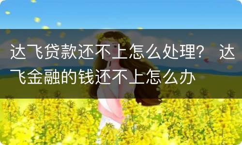 达飞贷款还不上怎么处理？ 达飞金融的钱还不上怎么办