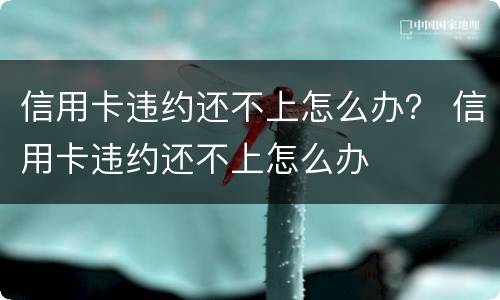 信用卡违约还不上怎么办？ 信用卡违约还不上怎么办