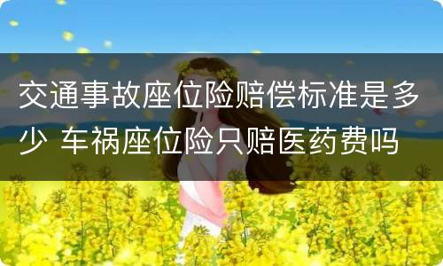 交通事故座位险赔偿标准是多少 车祸座位险只赔医药费吗