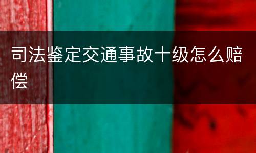 司法鉴定交通事故十级怎么赔偿