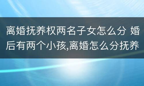 离婚抚养权两名子女怎么分 婚后有两个小孩,离婚怎么分抚养权