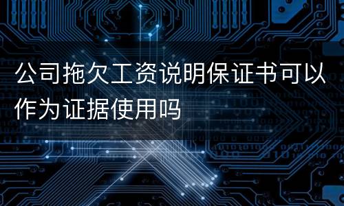 公司拖欠工资说明保证书可以作为证据使用吗