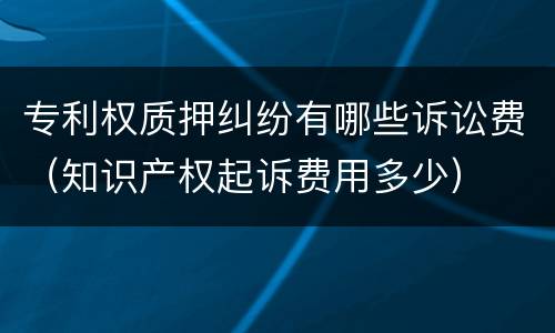 专利权质押纠纷有哪些诉讼费（知识产权起诉费用多少）