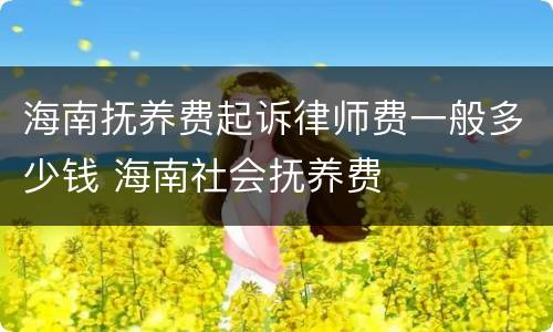 海南抚养费起诉律师费一般多少钱 海南社会抚养费