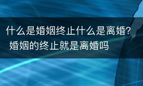 什么是婚姻终止什么是离婚？ 婚姻的终止就是离婚吗