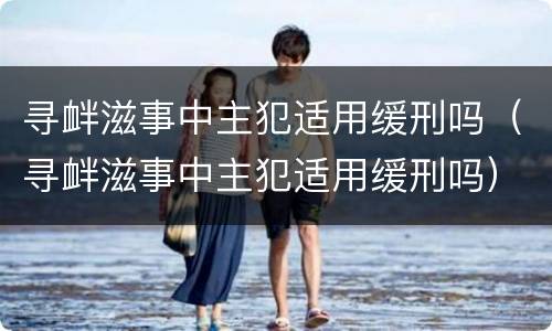 寻衅滋事中主犯适用缓刑吗（寻衅滋事中主犯适用缓刑吗）