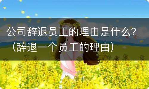 公司辞退员工的理由是什么？（辞退一个员工的理由）