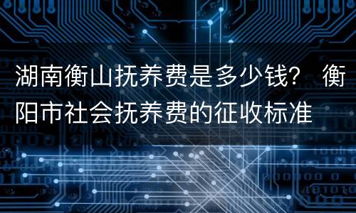 湖南衡山抚养费是多少钱？ 衡阳市社会抚养费的征收标准