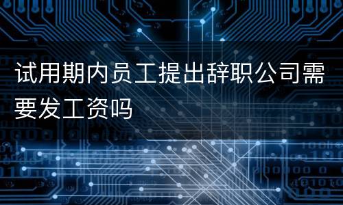 试用期内员工提出辞职公司需要发工资吗