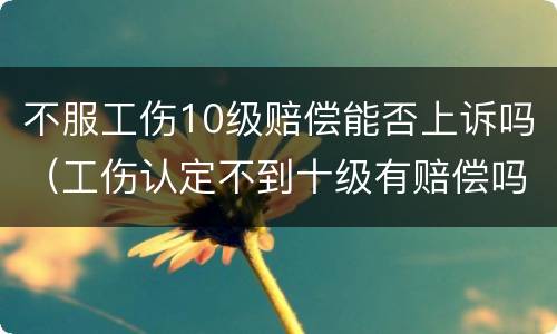 不服工伤10级赔偿能否上诉吗（工伤认定不到十级有赔偿吗）