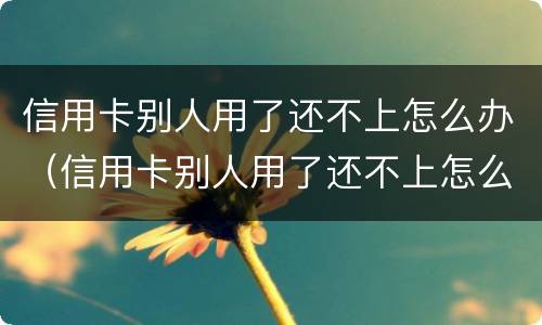 信用卡别人用了还不上怎么办（信用卡别人用了还不上怎么办呢）