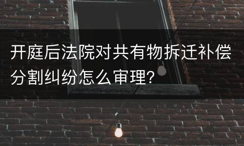 开庭后法院对共有物拆迁补偿分割纠纷怎么审理？