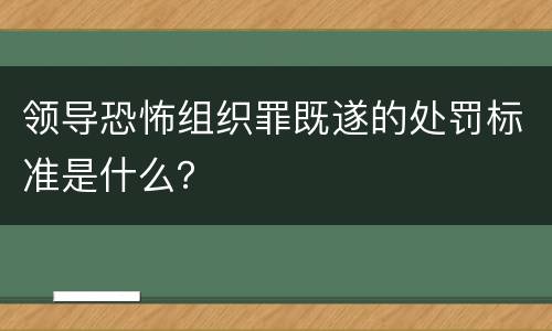 领导恐怖组织罪既遂的处罚标准是什么？