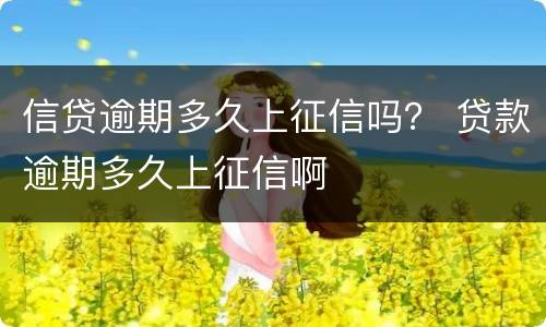 信贷逾期多久上征信吗？ 贷款逾期多久上征信啊