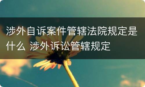 涉外自诉案件管辖法院规定是什么 涉外诉讼管辖规定