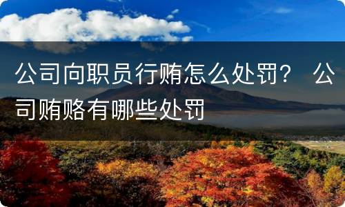公司向职员行贿怎么处罚？ 公司贿赂有哪些处罚
