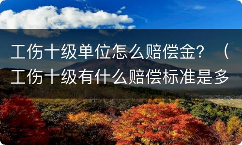 工伤十级单位怎么赔偿金？（工伤十级有什么赔偿标准是多少）
