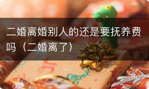 二婚离婚别人的还是要抚养费吗（二婚离了）