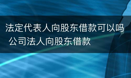 法定代表人向股东借款可以吗 公司法人向股东借款