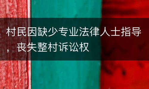 村民因缺少专业法律人士指导，丧失整村诉讼权