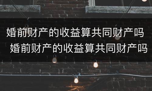 婚前财产的收益算共同财产吗 婚前财产的收益算共同财产吗知乎