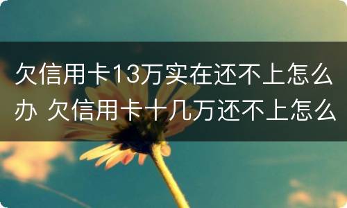欠信用卡13万实在还不上怎么办 欠信用卡十几万还不上怎么办