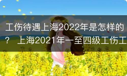 工伤待遇上海2022年是怎样的？ 上海2021年一至四级工伤工资待遇表