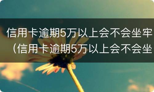 信用卡逾期5万以上会不会坐牢（信用卡逾期5万以上会不会坐牢呢）
