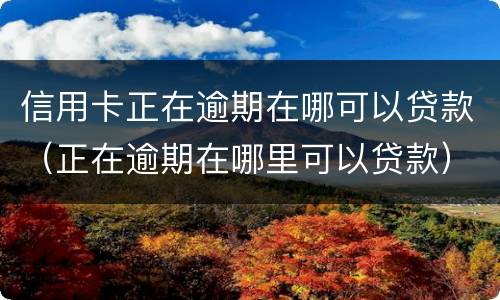信用卡正在逾期在哪可以贷款（正在逾期在哪里可以贷款）