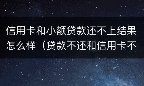 信用卡和小额贷款还不上结果怎么样（贷款不还和信用卡不还哪个严重）