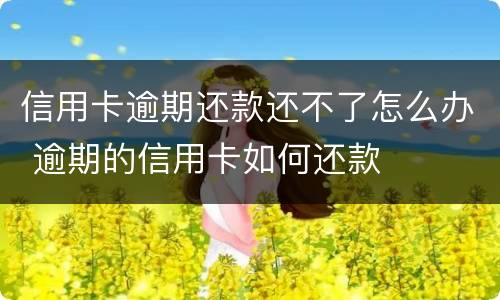 信用卡逾期还款还不了怎么办 逾期的信用卡如何还款