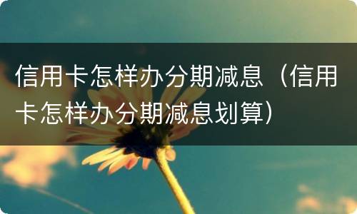 信用卡怎样办分期减息（信用卡怎样办分期减息划算）