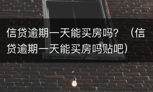 信贷逾期一天能买房吗？（信贷逾期一天能买房吗贴吧）