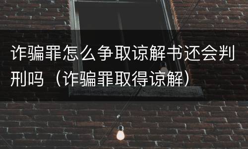 诈骗罪怎么争取谅解书还会判刑吗（诈骗罪取得谅解）