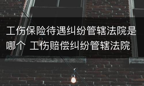 工伤保险待遇纠纷管辖法院是哪个 工伤赔偿纠纷管辖法院