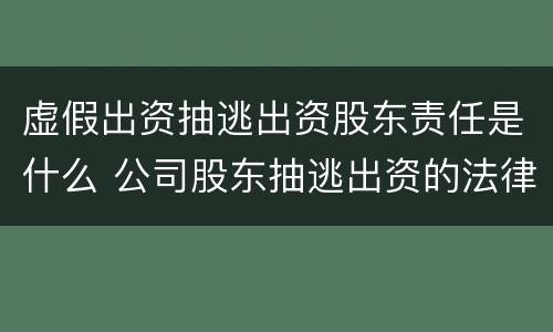 虚假出资抽逃出资股东责任是什么 公司股东抽逃出资的法律责任