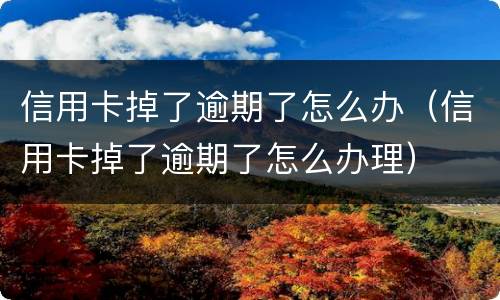 信用卡掉了逾期了怎么办（信用卡掉了逾期了怎么办理）