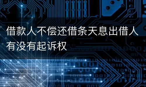借款人不偿还借条天息出借人有没有起诉权