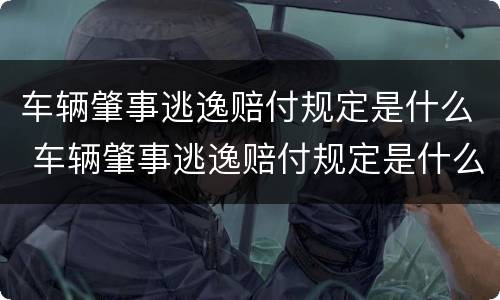 车辆肇事逃逸赔付规定是什么 车辆肇事逃逸赔付规定是什么时候出的