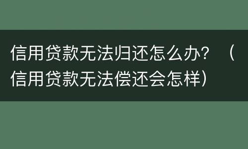 信用贷款无法归还怎么办？（信用贷款无法偿还会怎样）